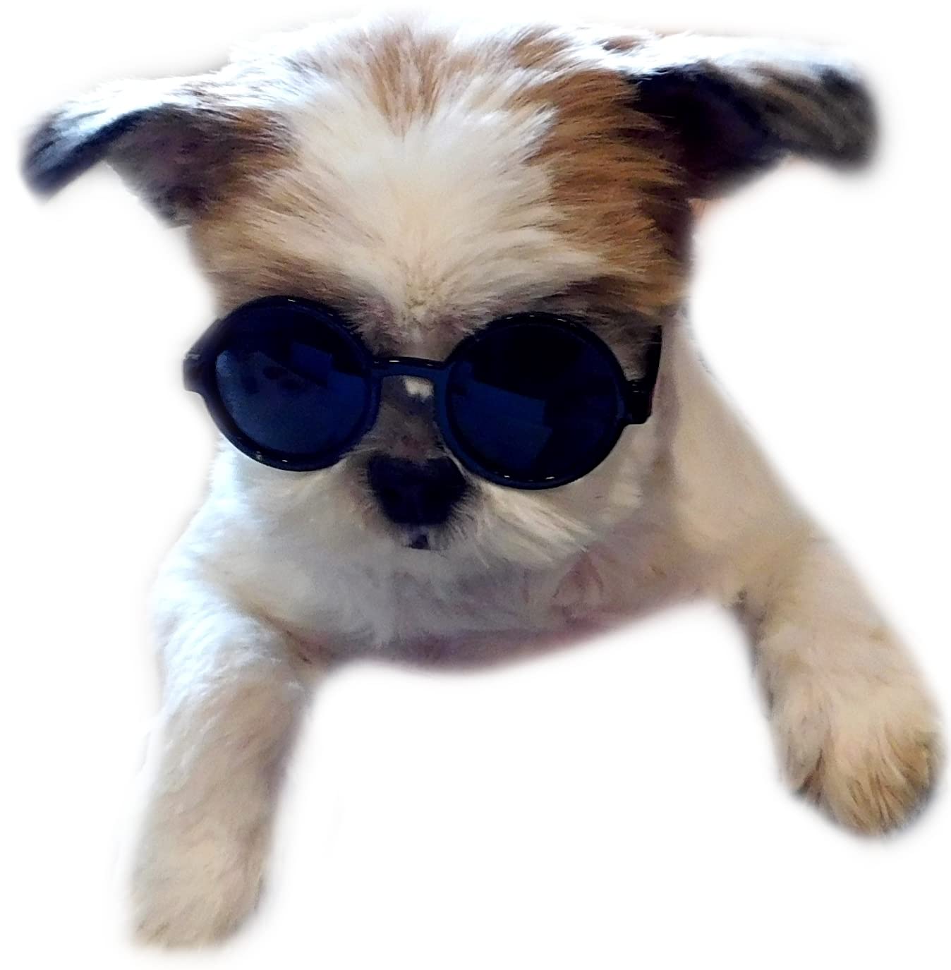 G016 Small Breed Dog Up To 15Lbs Pet Cat Round Tiny Sunglasses (Black)