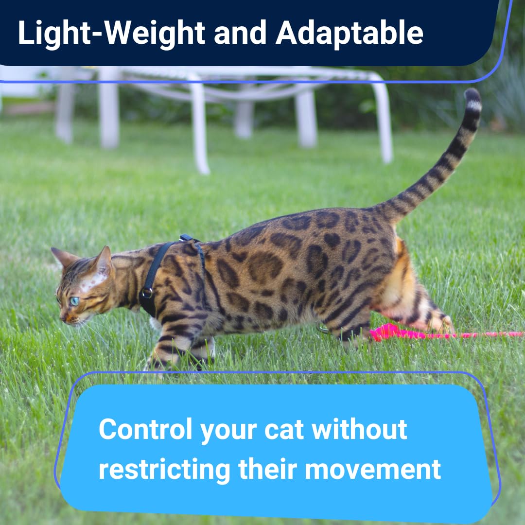 Houdini Escape Proof Cat Harness And Leash Set By Outdoorbengal - Red, Large Cat Harness For Walking Big Cats