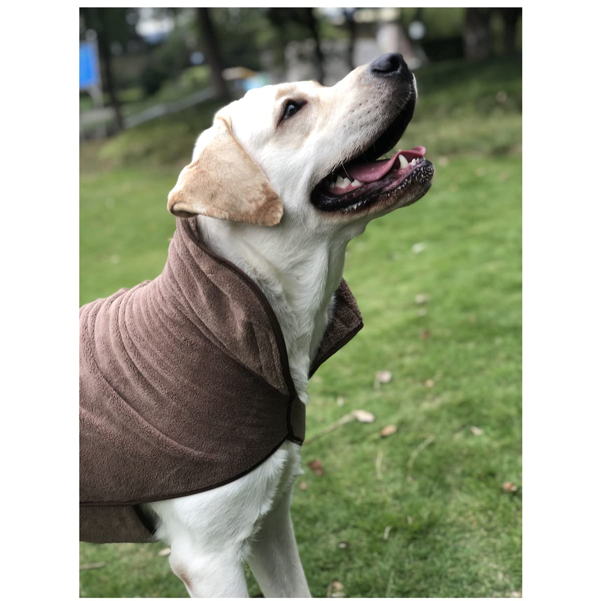 Ywkxm Premium Drying Dog Robe, Dog Bathrobe Towel - Quick Drying Pet Towel, Microfibre Super Absorbent Pet Dog Cat Bath Robe Towel For Bath & Beach Trips,Dark Brown/M