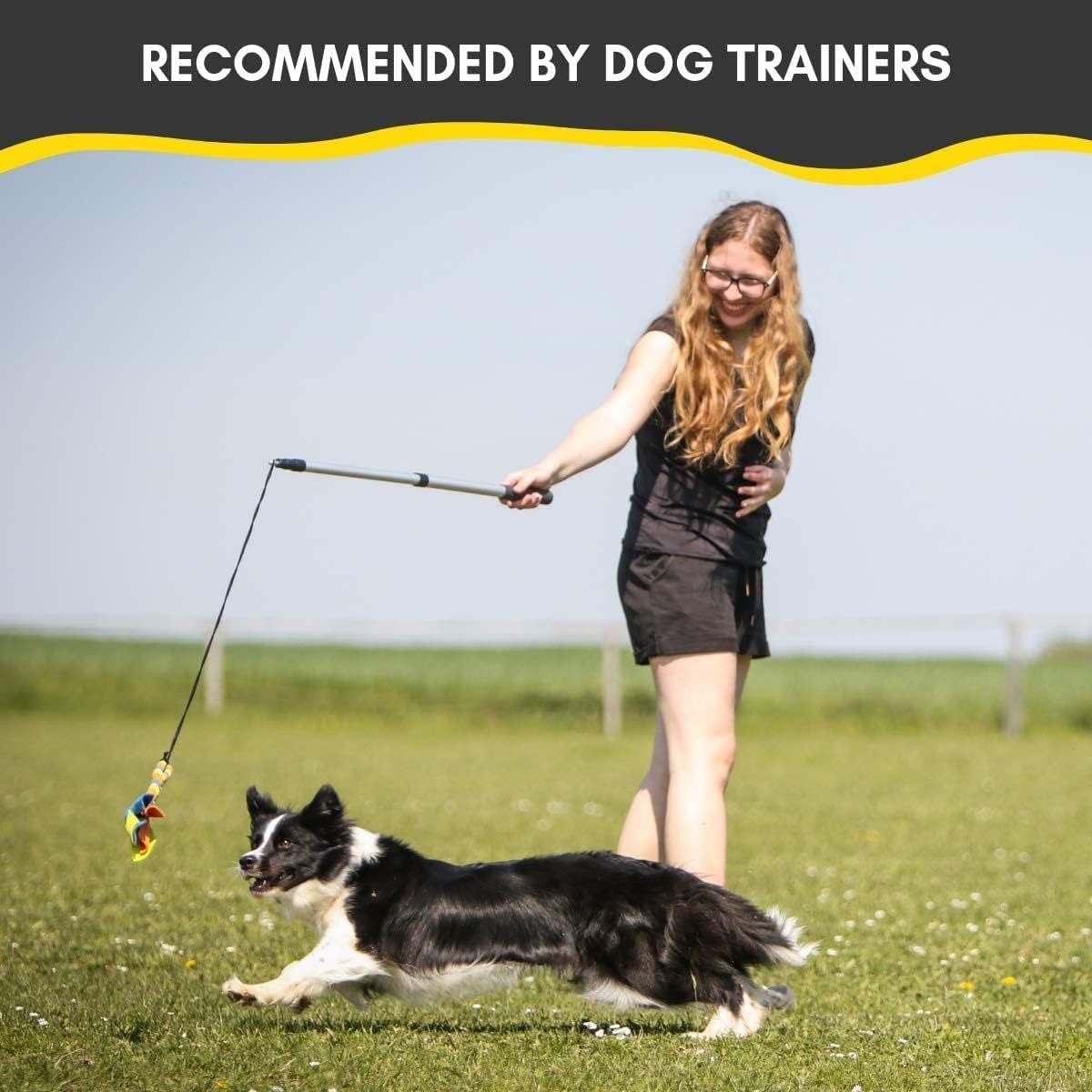 Yes4Quality Flirt Pole For Dogs - Safe & Strong For Large Breeds W/Non-Bungee Cord - Spring Pole For Tug Of War, Interactive Play & Puppy Training - Heavy-Duty Teaser Wand For Outdoor Exercise