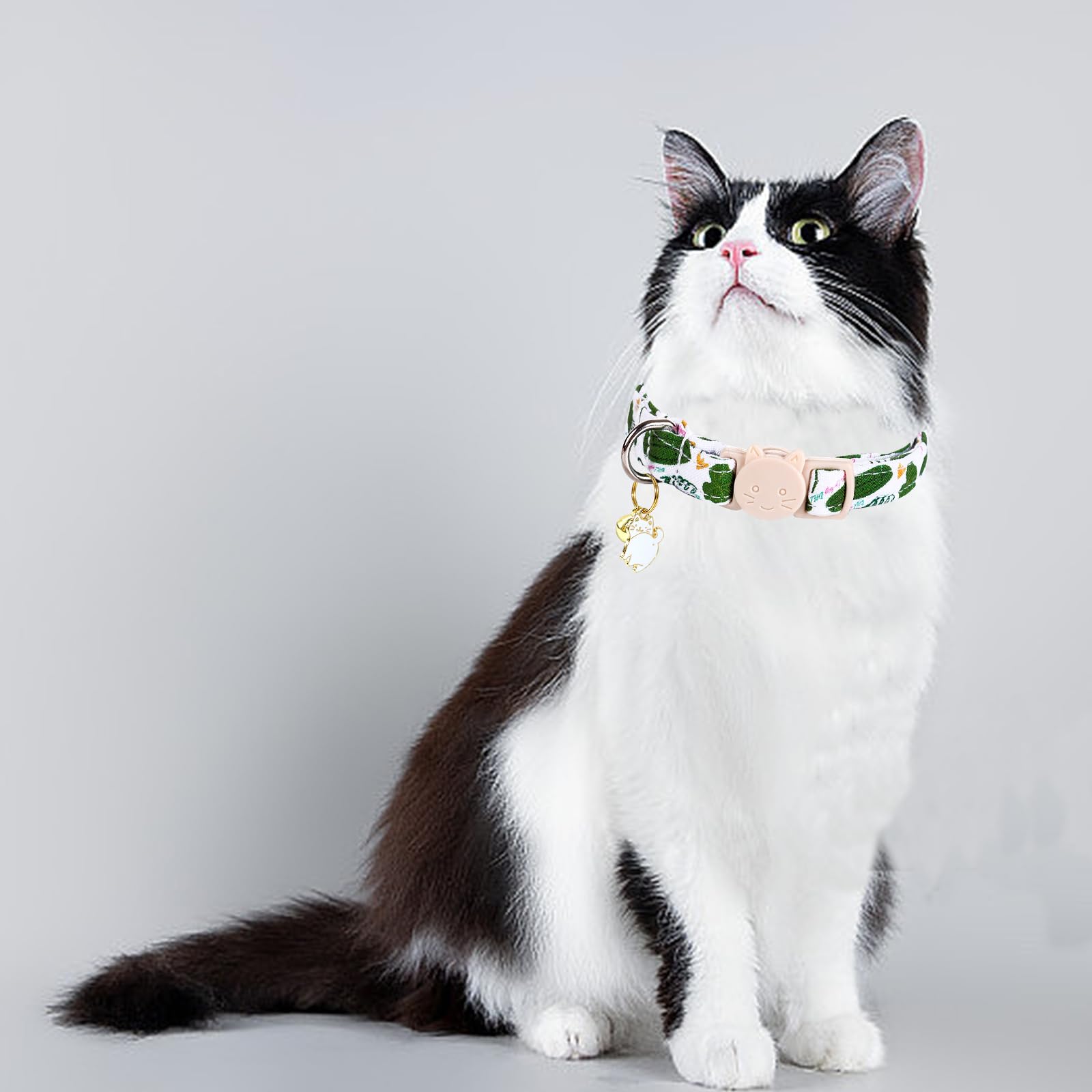 Lionheart Glory 2 Pack Cat Collar Breakaway With Bell & Pendant Dinosaurs Cucumbers Print Kitten Collar Soft Adjustable Safety C