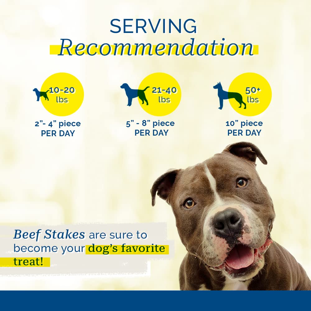 PCI Beef Stakes 100% Natural Dog Treats, 1lb Bag - Healthy Snack for Dogs