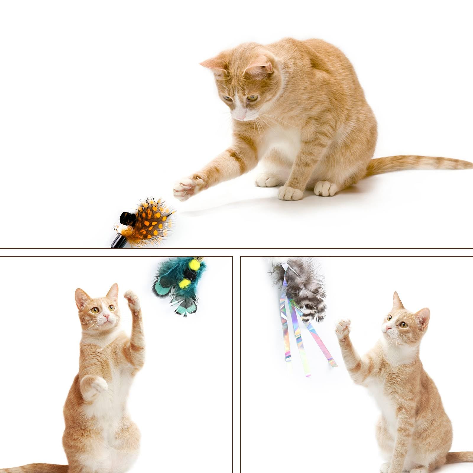 Hokoad Cat Insect Feather Toys, Cat Feather Toys Accessories, 1 Pcs Cat Wand And 6 Pieces Natural Insect Cat Toy Feathers Refill