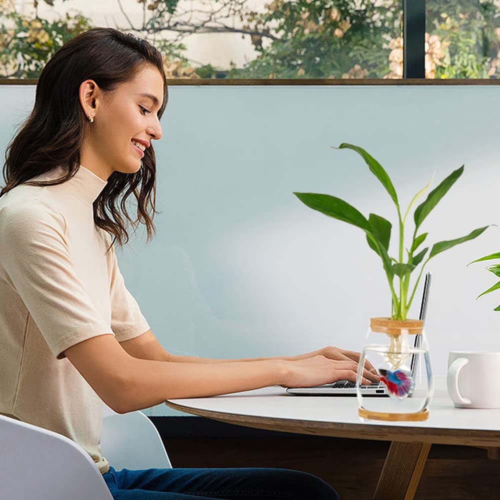 Desktop Fish Bowl Clear Glass Small Fish Tank with Wood Lid and Bamboo Stand for Betta Fish Plants Terrarium Home Office Decorat