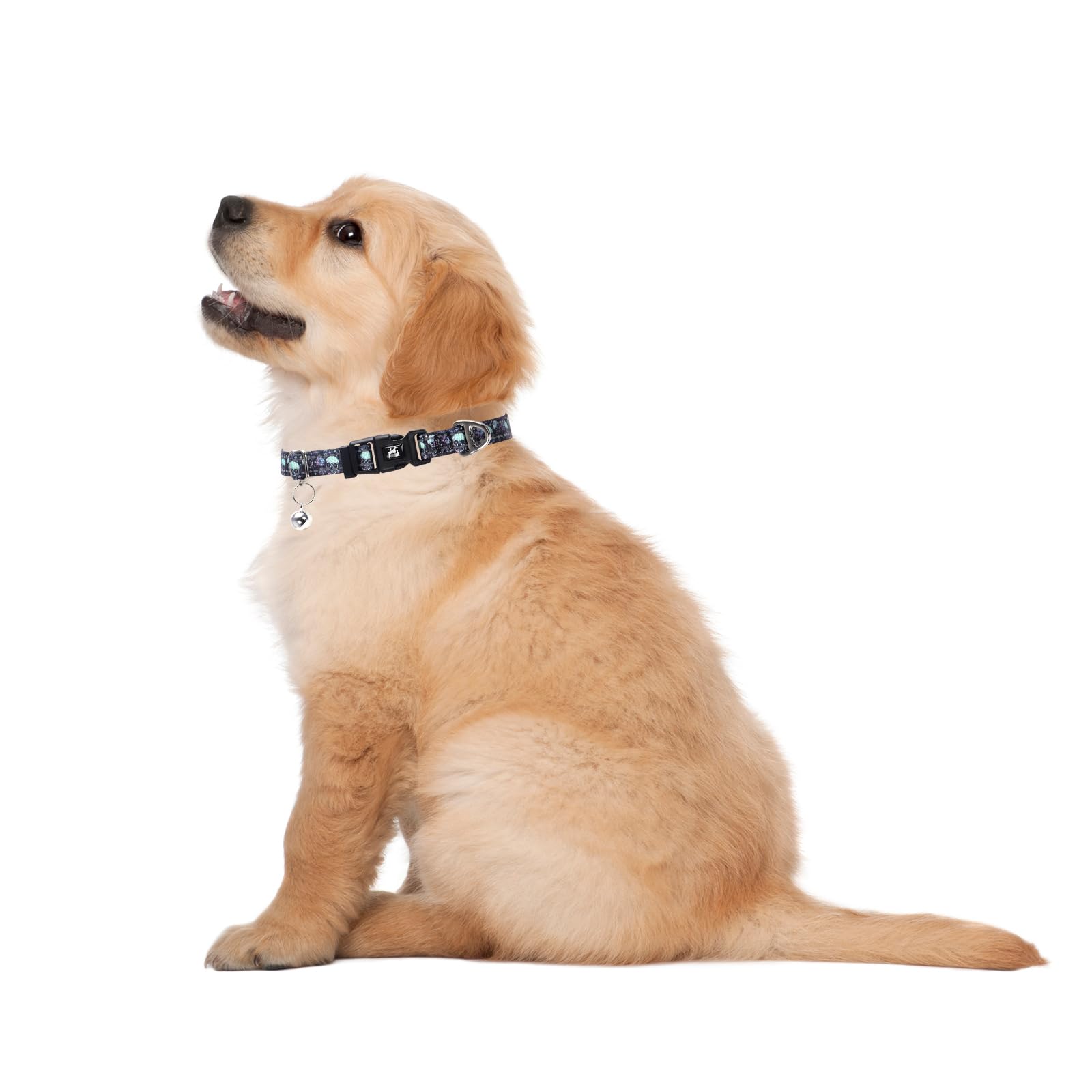 Reflective Puppy Collar With Bell For Small Dogs -Lightweight & Comfortable Soft Nylon Collars Gift For Boys Or Girls Dogs -Skul