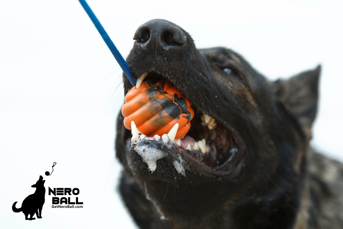 The Nero Ball Ultra™ Durable Dog Training Ball On Rope - Used By K-9 Teams Worldwide - Reward And Fetch Ball For Large Dogs - Exercise And Reward Toy For Dogs.