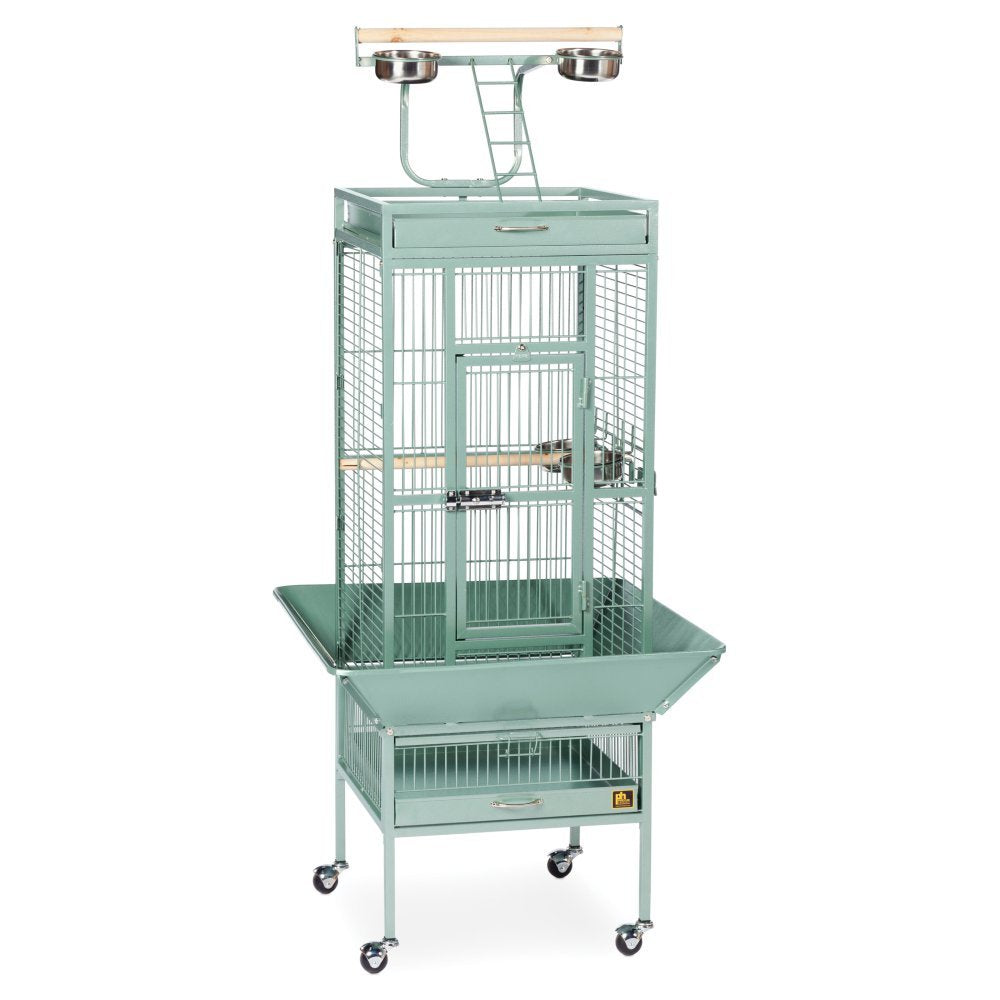 Prevue Hendryx Pet Products Wrought Iron Select Cage - Sage, 18 X 18 X 57