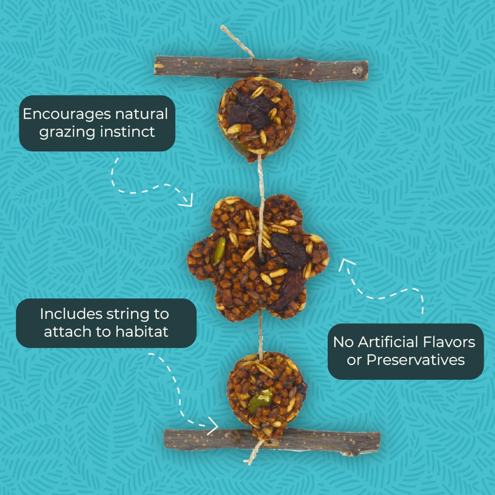 ZuPreem Grazing Snack, Long-Lasting & Rewarding Bird Treats, Medium to Large Birds, No Artificial Flavors or Colors, Perfect for