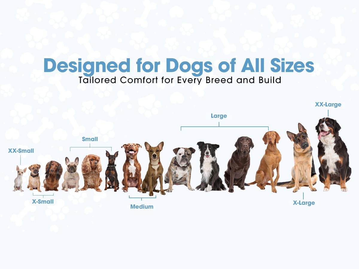 Copatchy Dog Harness Small Sized Dogs - All Weather Mesh Overhead Adjustable No Pull Vest Puppy Reflective Harness With Handle For Extra Small And Small Dogs By Copatchy - Harness (Red) X-Small