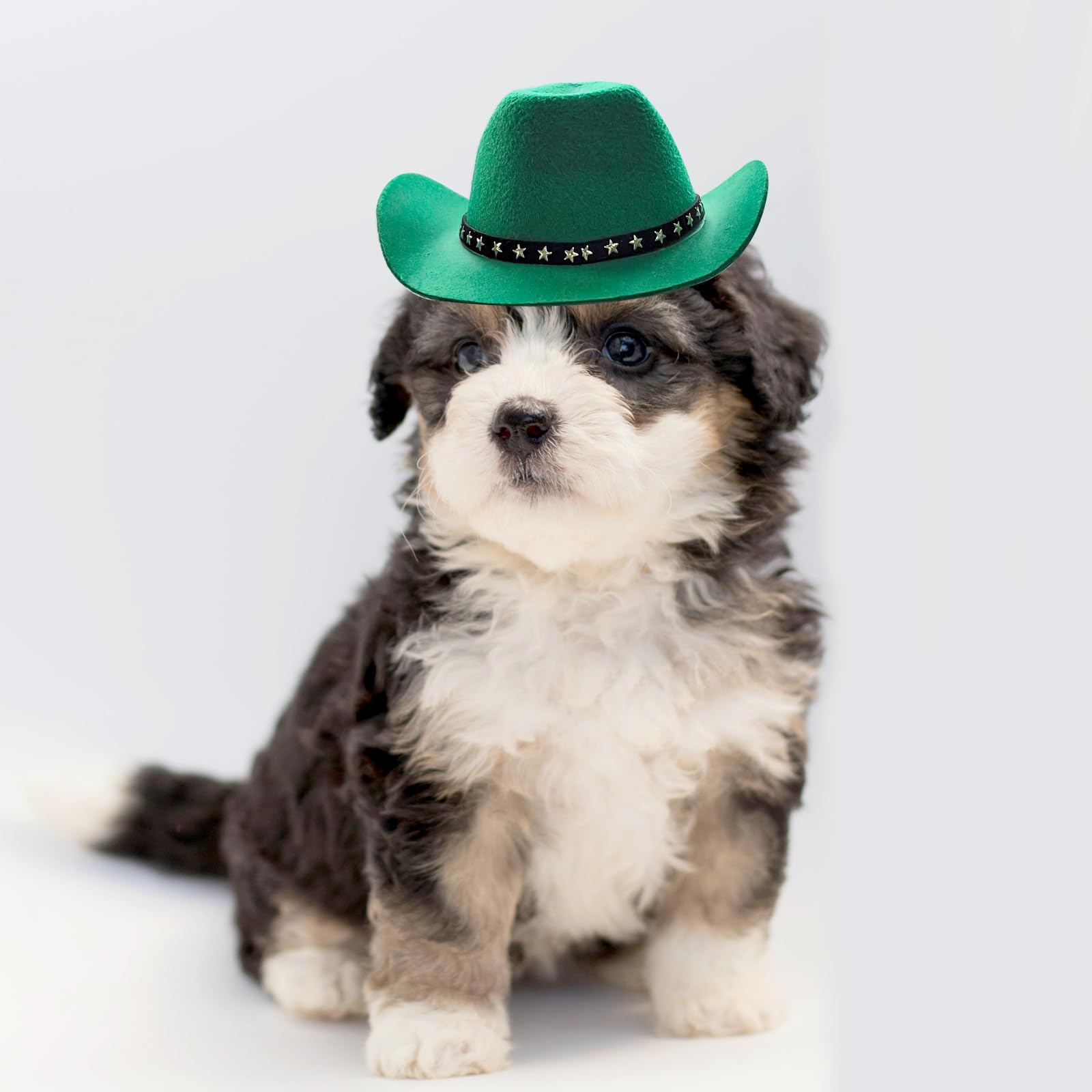 Awocan Pet Dog Costume Cowboy Hat Cosplay Cap Puppy Pet Dog Cat Holiday Pet Party Decoration (Green)