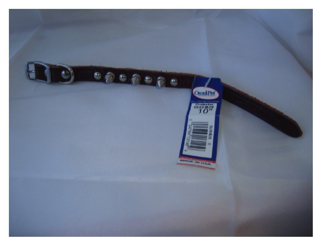 Omnipet Spiked & Studded Latigo Leather Dog Collar, Burgundy, 1/2'' X 10''