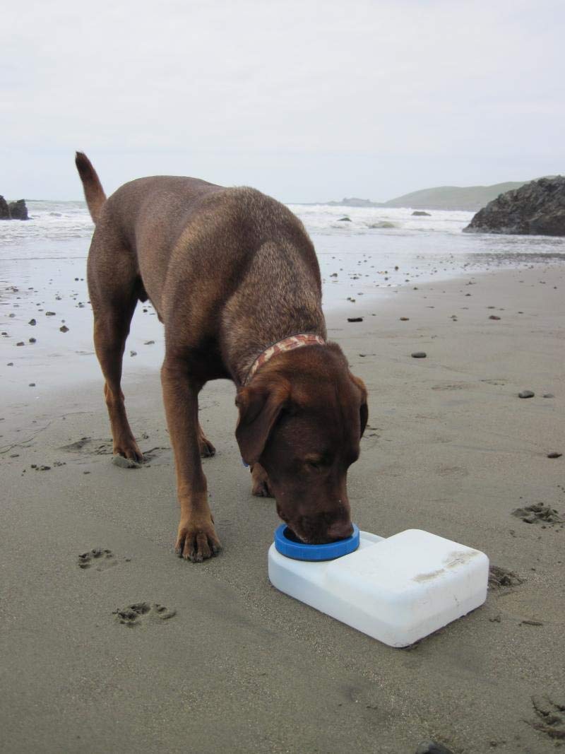 Lixit Dog Travel Water Bowl 3 Quarts