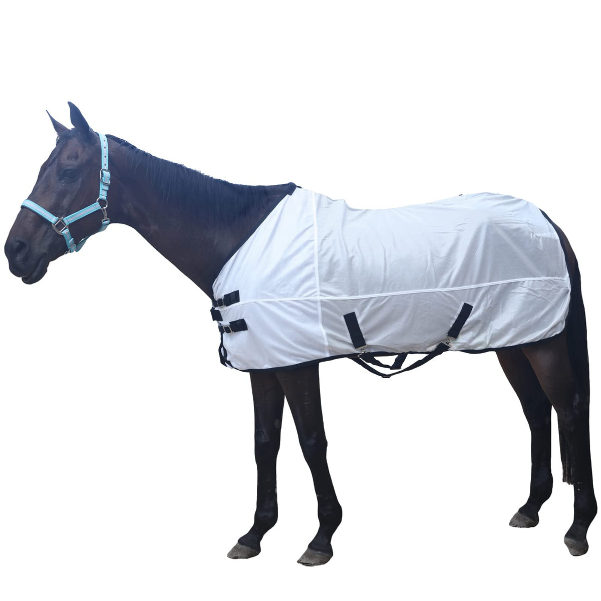Gallopoff Comfy Mesh Horse Fly Sheet Equine Summer Sheets Stand Neck White 69