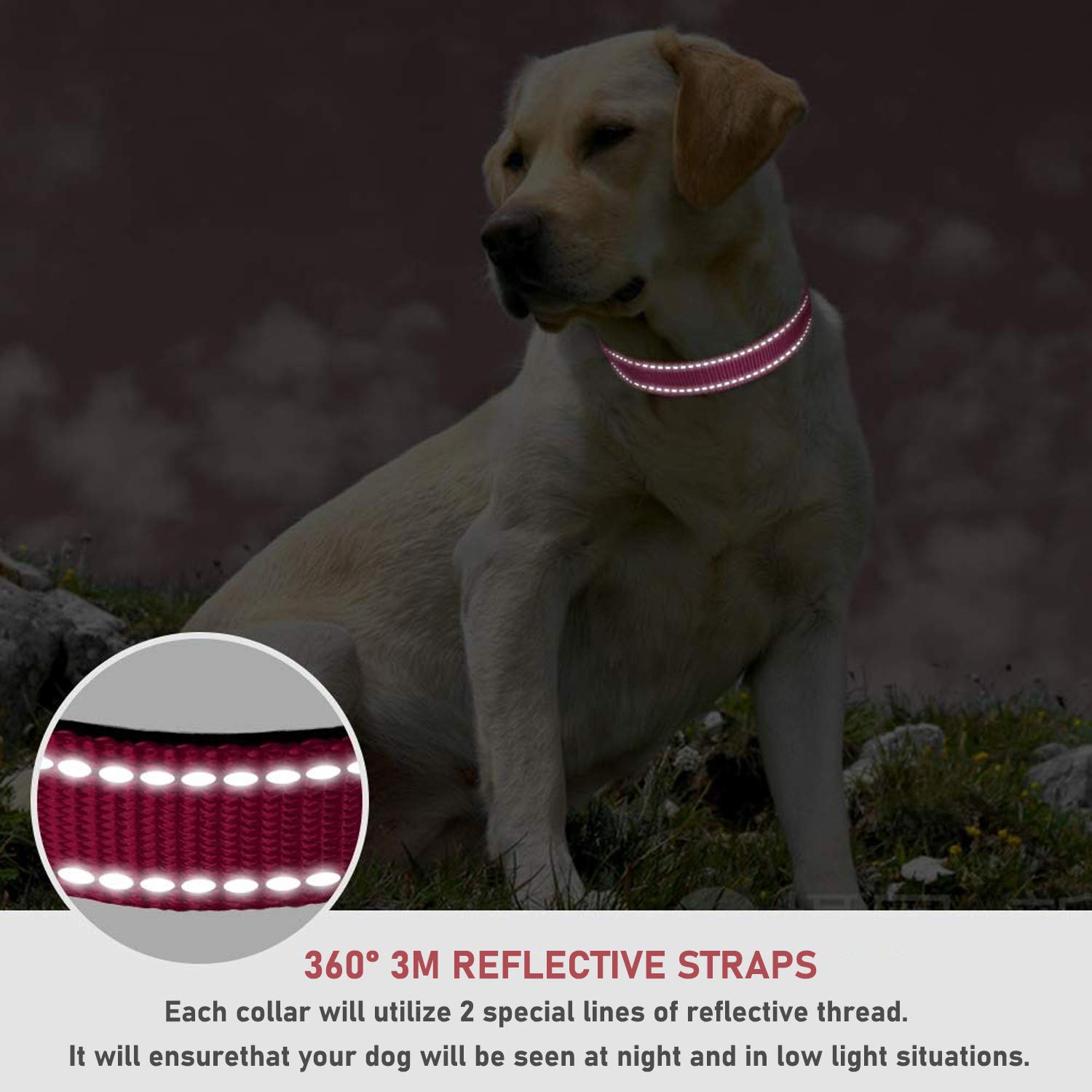 Reflective Dog Collar With Buckle Adjustable Safety Nylon Collars For Small Medium Large Dogs, Pink Xl
