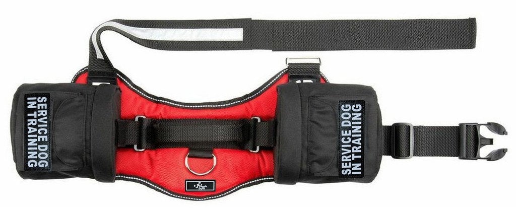 Doggie Stylz Service Dog In Training Harness With Removable Saddle Bag Backpack Harness Carrier Traveling Bag. 2 Patches. Please