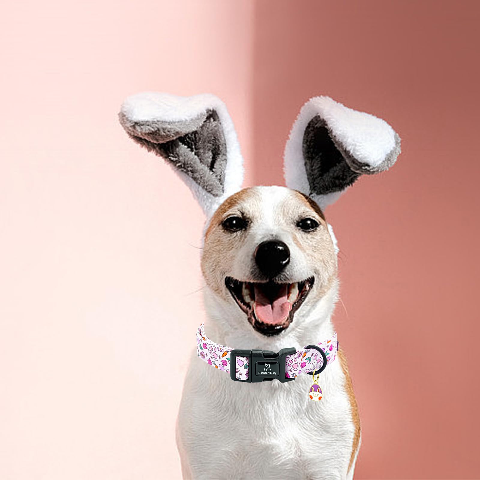 Lionheart Glory Easter Dog Collar-Easter Rabbit Eggs Dog Collars Cute Bunnies Carrot Dog Collar Adjustable Durable Soft Collar F
