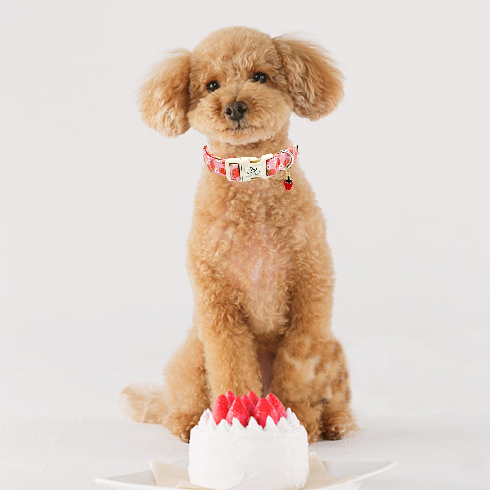 Elegant Little Tail Dog Collar, Strawberry Pattern Pet Collar Pink Durable Spring Female Spring Collar Adjustable Cotton Pet Col