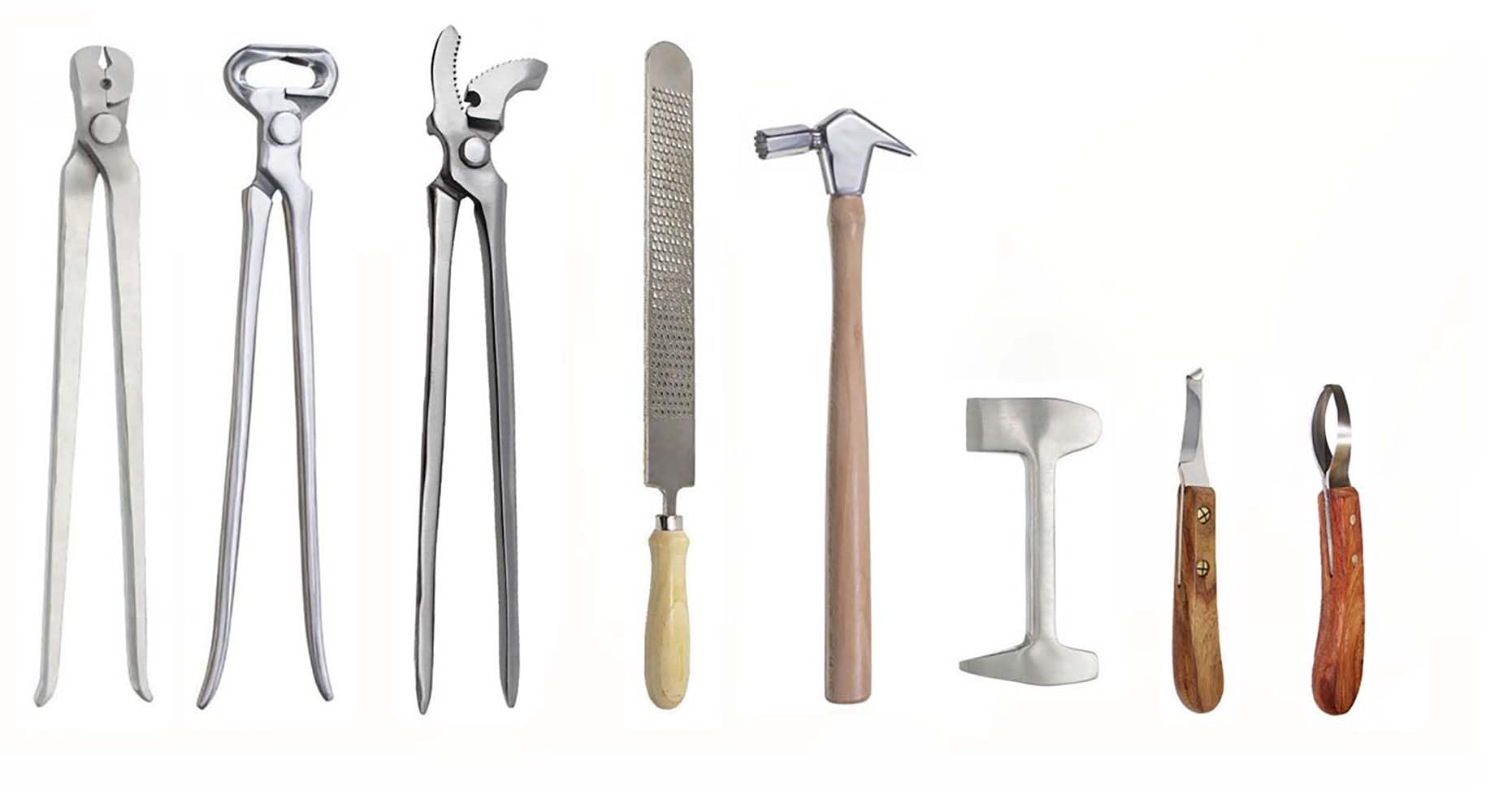 Prorider Usa 8 Piece Horse Shoe Farrier Hoof Grooming Tool Nipper Kit W/Leather Bag 98499C