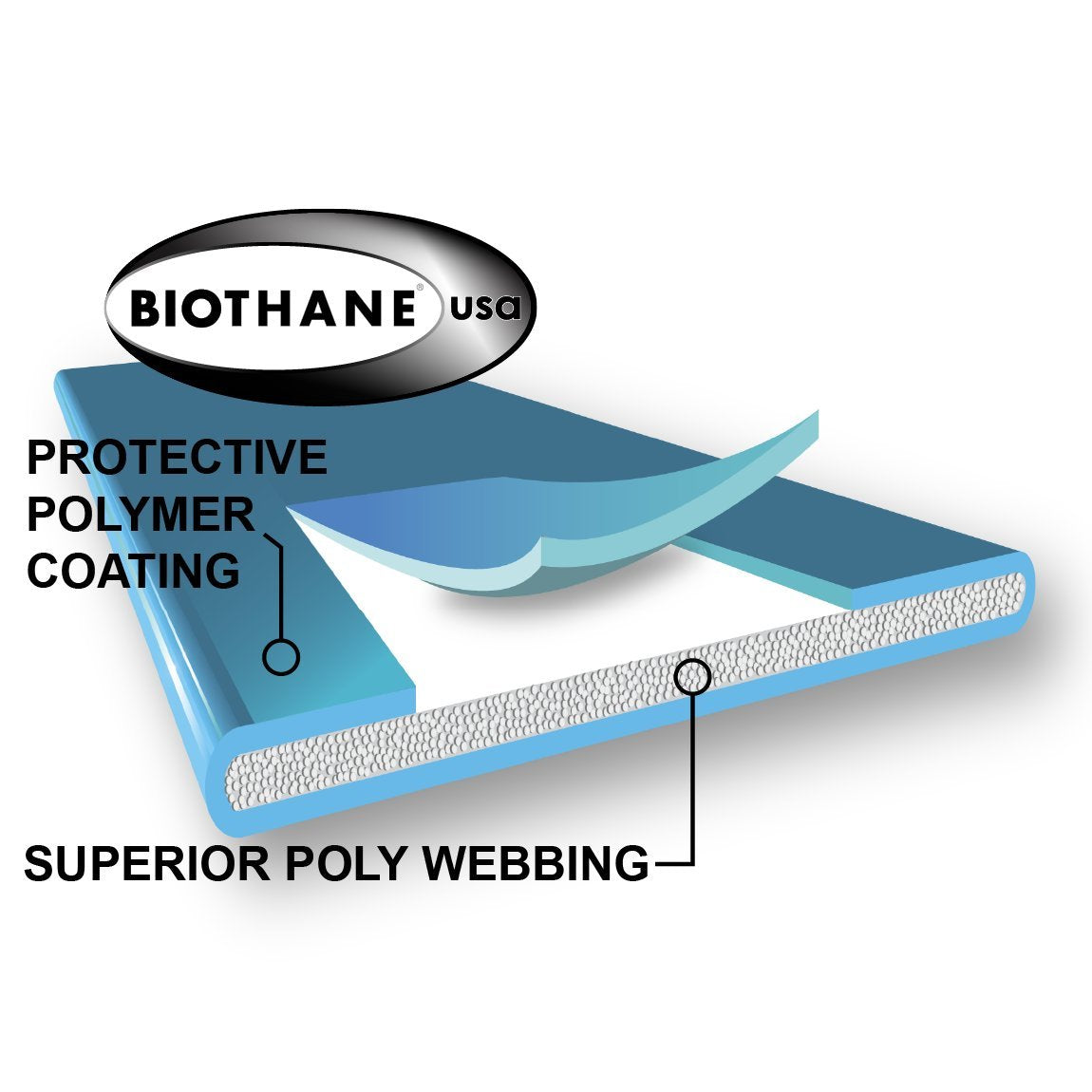 Educator Biothane Dog Collar, Waterproof, Odorproof, Metal Buckle And D Ring, Adjustable For Custom Fit, Cool And Comfortable, For Small, Medium, Or Large Dogs, 3/4-Inch, Green