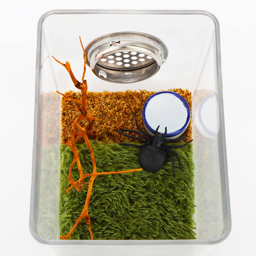 9 Pcs Spider Micro Water Bowl Tarantula Mini Ceramic Dish For Tarantula Spider Millipede Tiny Bugs (Small Size: 0.86 D, 0.43