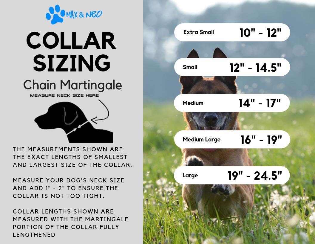 Max And Neo Stainless Steel Chain Martingale Collar - We Donate To A Dog Rescue For Every Collar Sold (Small, Red)
