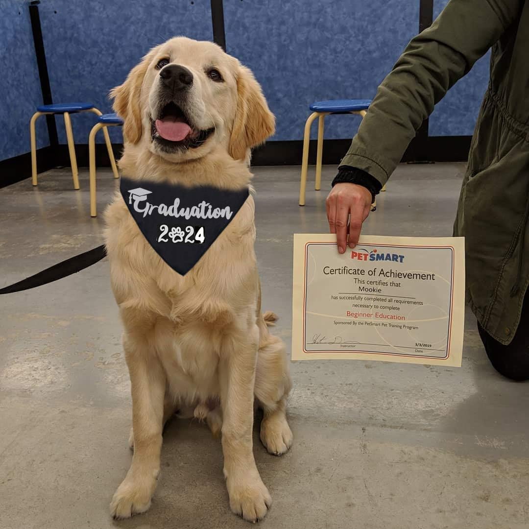 Dog Graduation Bandana 2025