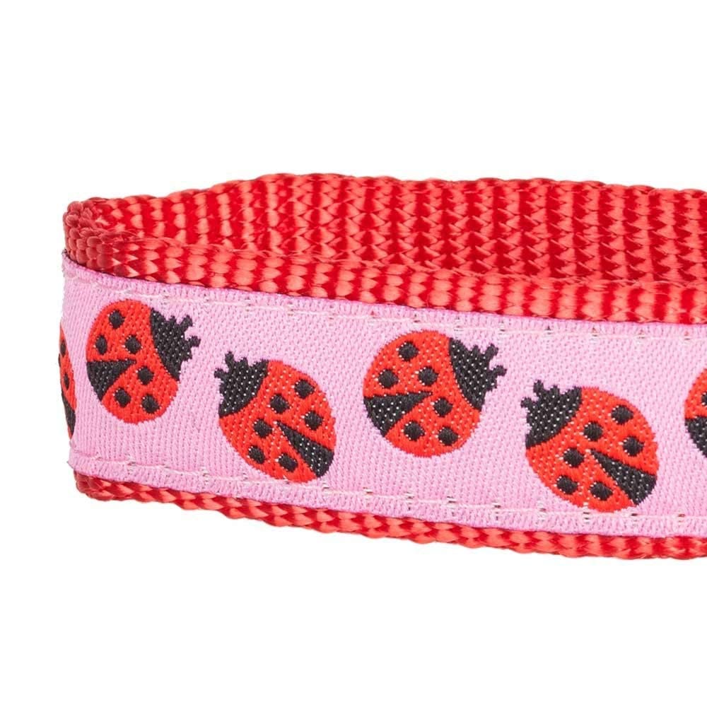 Blueberry Pet Essentials 2 Patterns Durable Pink Webbing Ladybug Designer Dog Leash 5 Ft X 5/8', Small, Basic Nylon Leashes For Dogs