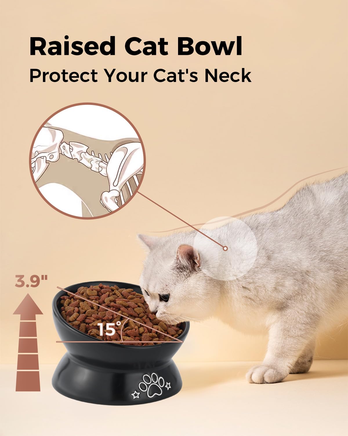 LoeJan Elevated Cat Food Bowl, 5 Oz Ceramic Raised and Tilted Water Bowl, Anti Vomiting and Protect Pets  Spines Dishes for Sma