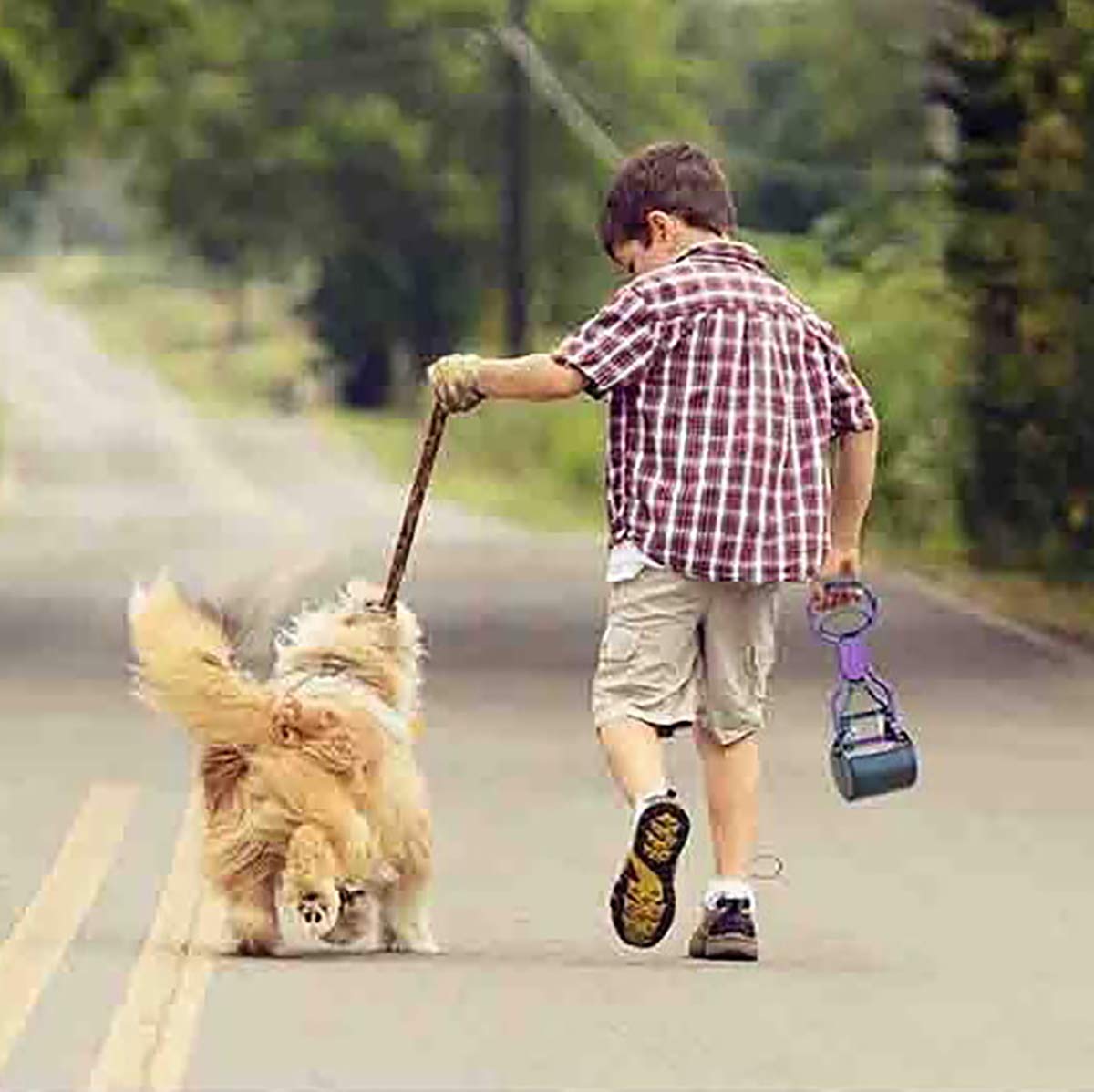 Pet Pooper Scooper For Dogs Cats Non-Breakable High Strength Material Durable Spring Easy Pick Up Grass Gravel Jaw Claw Rake For