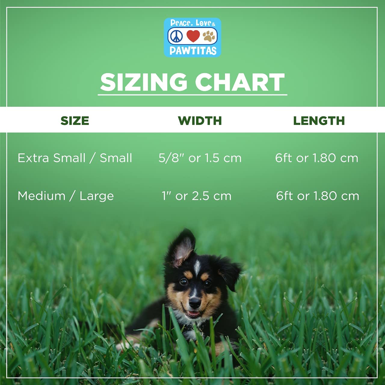 Pawtitas 6 Ft Padded Dog Leash With Comfortable Neoprene Padding Handle - Blue Lead | Medium Reflective Dog Leash With Highly Reflective Band Perfect For Medium And Large Dogs And Puppies.