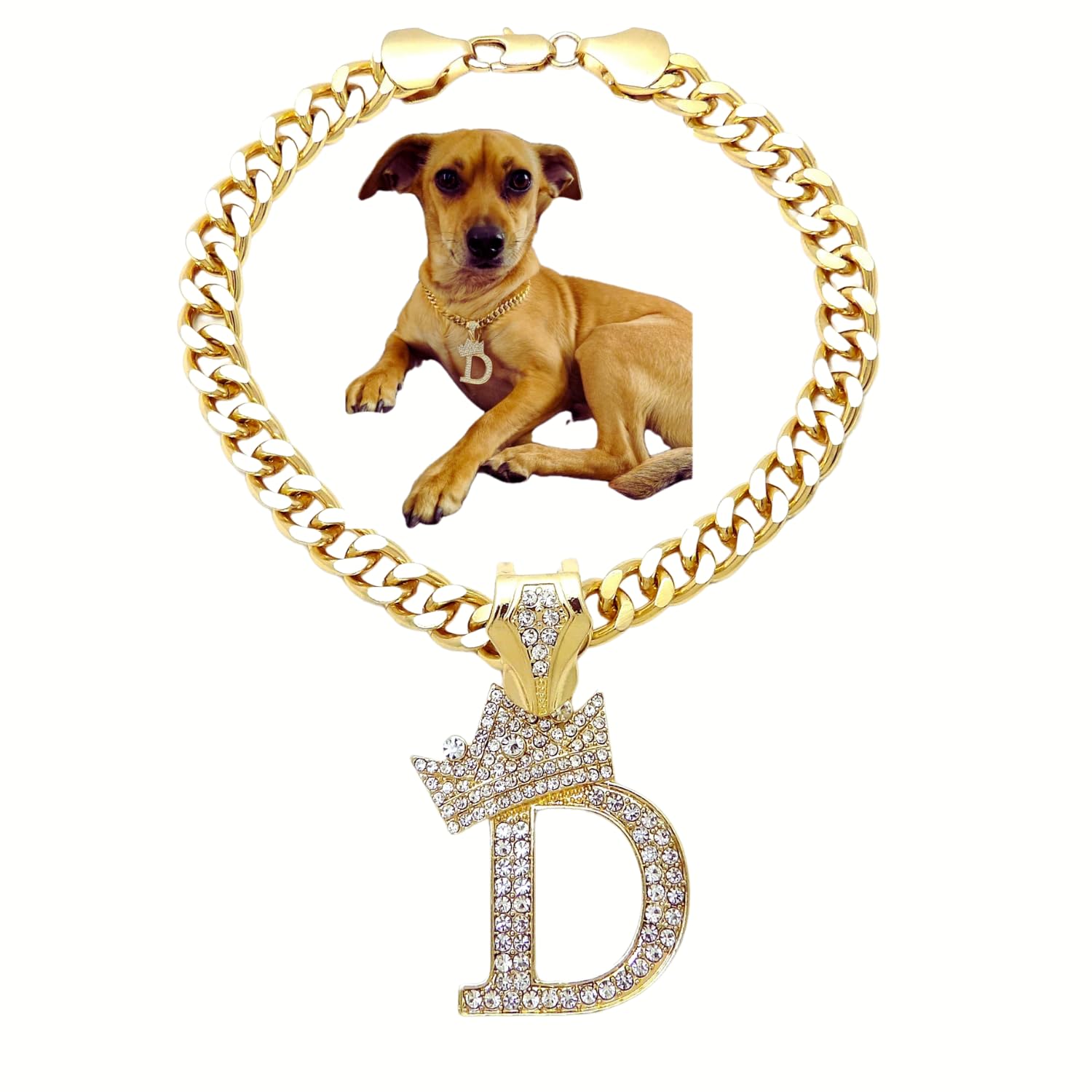 Initial Letter Cuban Chain Dog Chain Pet Chain Pet, Cat, Puppy Necklace (D, 22'')