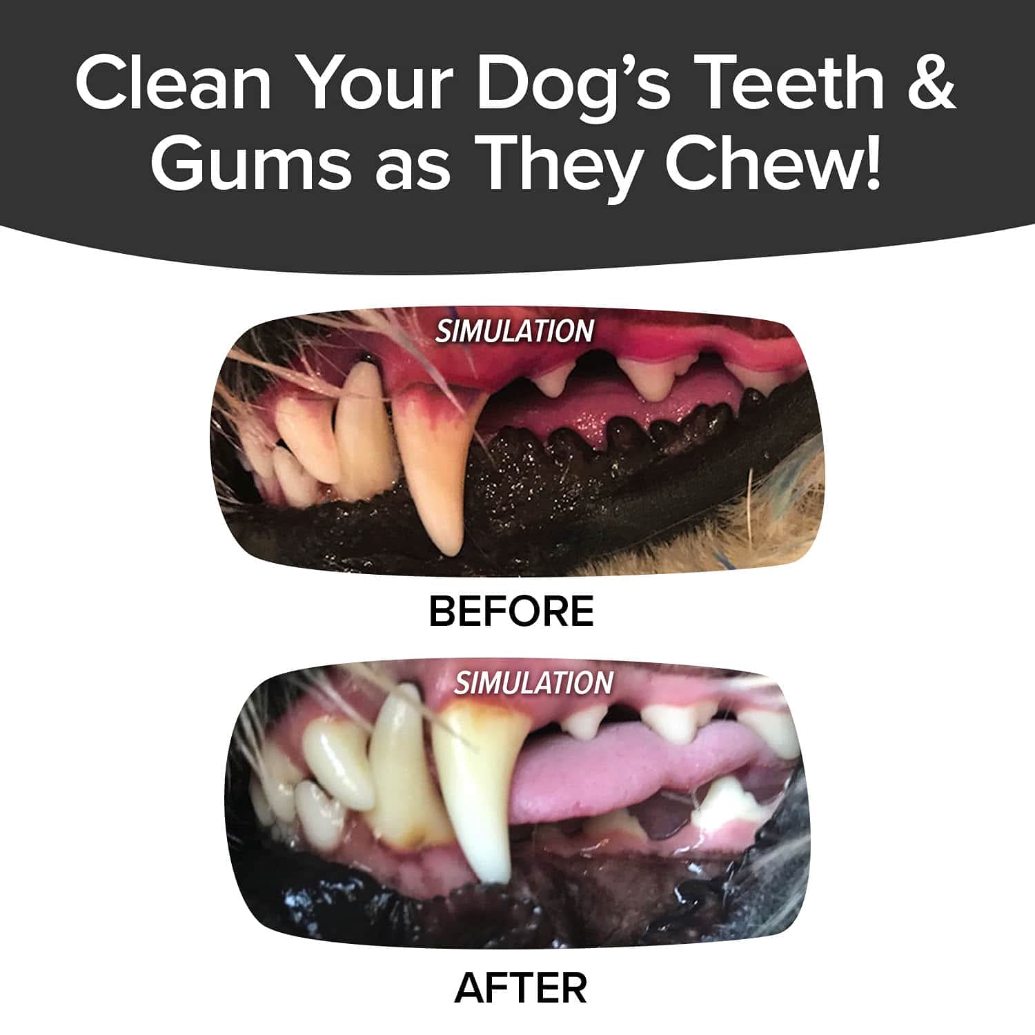 BulbHead Toothbrush, Dogs Chewing, Plaque and Tartar Remover for Teeth, Invented by a Dentist & His Hygienist Wife, 8 in. x 2 in