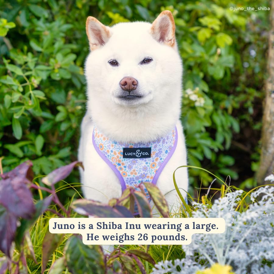 Lucy & Co. Cute Reversible Dog Harness Walking Halter - Best Designer Pet Harnesses For Xs - Xl Dogs - Padded Adjustable Vest Fo
