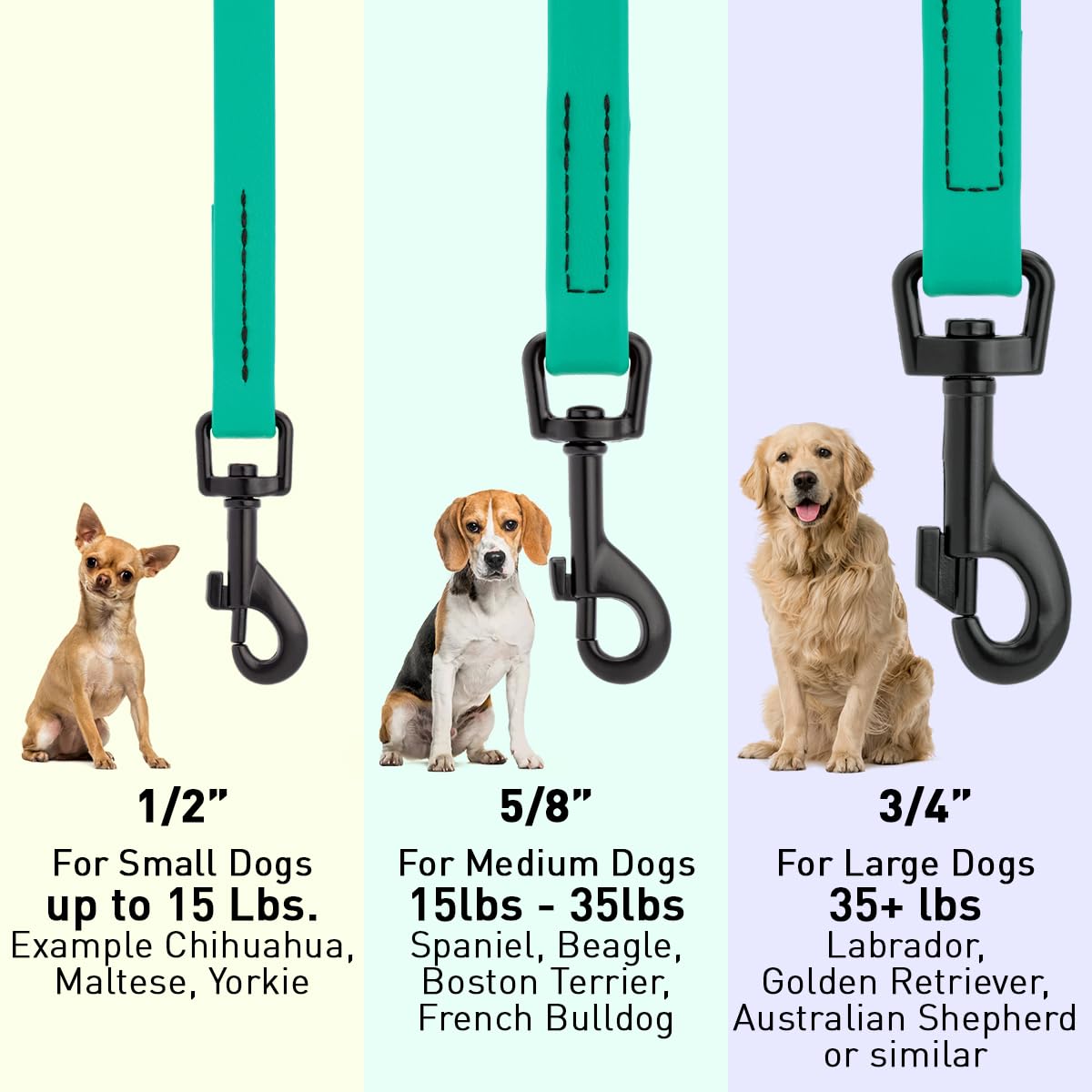 Dogline Biothane Waterproof Dog Leash Strong Coated Nylon Webbing with Black Hardware Odor-Proof Easy to Clean High Performance