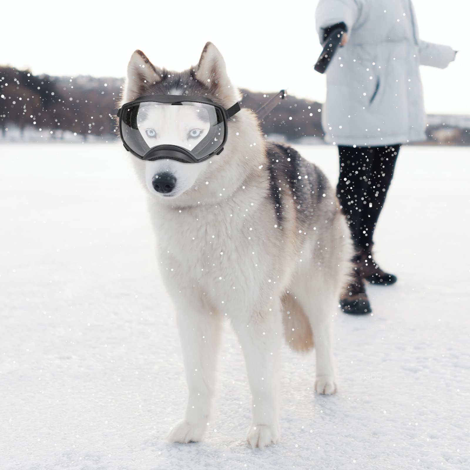 Enjoying Clear Dog Goggles For Large Dogs, Dog Sunglasses Medium Large Breed, Summer Uv Pet Eye Protection, Winter Pet Snow Gogg