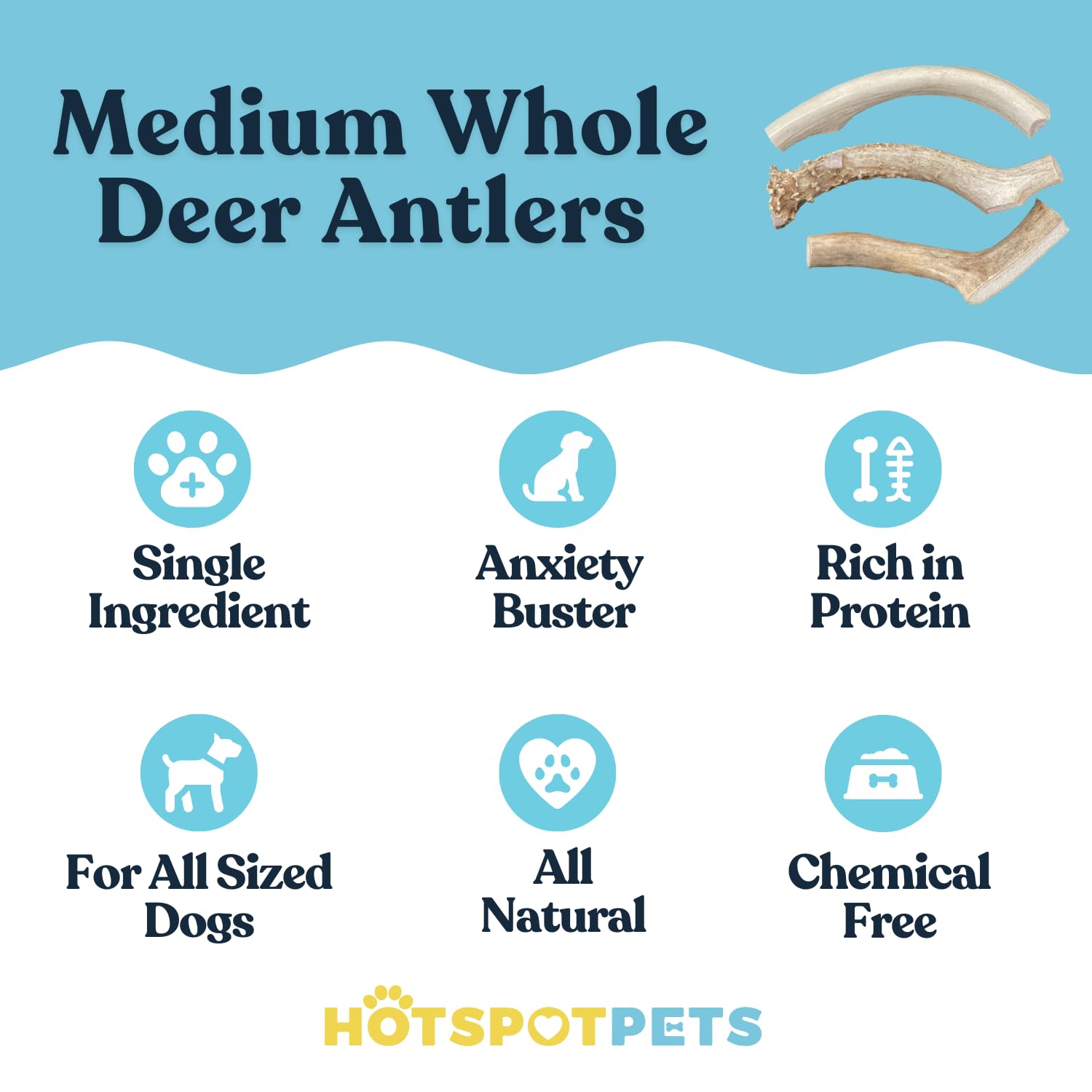 Hotspot Pets Premium Medium Whole Deer Antlers For Dogs - 5+ Inch Sized Antler Dog Chews - Naturally Shed For Small And Medium B