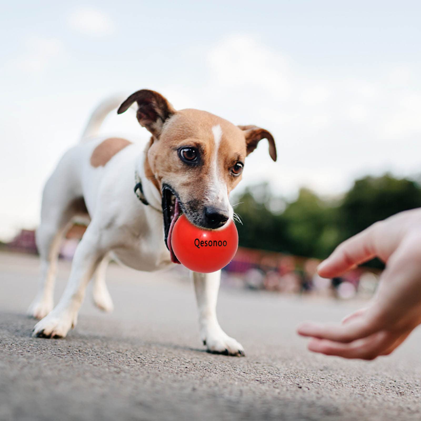 Qesonoo Dog Balls Indestructible,Solid Rubber Bouncy For Dogs Aggressive Chewers Large Breed,Non-Toxic&Floating&High Elasticity,Durable Fetch Ball Medium To Chew,Play And Training. (Red)