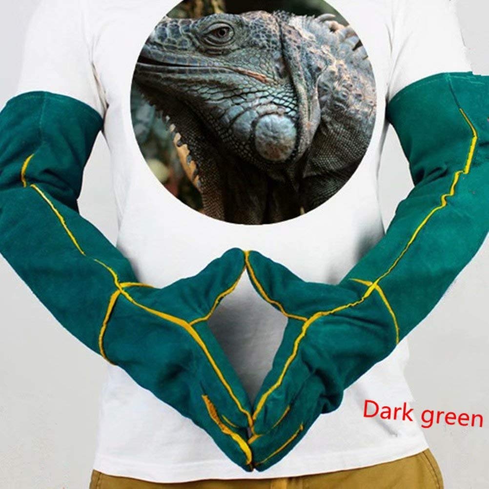 Ybb Animal Handling Anti-Bite/Scratch Gloves For Dog Cat Bird Parrot Pet (Green)