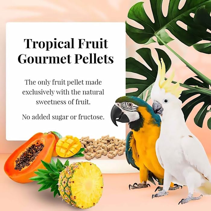 LAFEBERS Tropical Fruit Gourmet Pellets Pet Bird Food, No Added Sugar, Made with Non-GMO and Human-Grade Ingredients, for Macaw