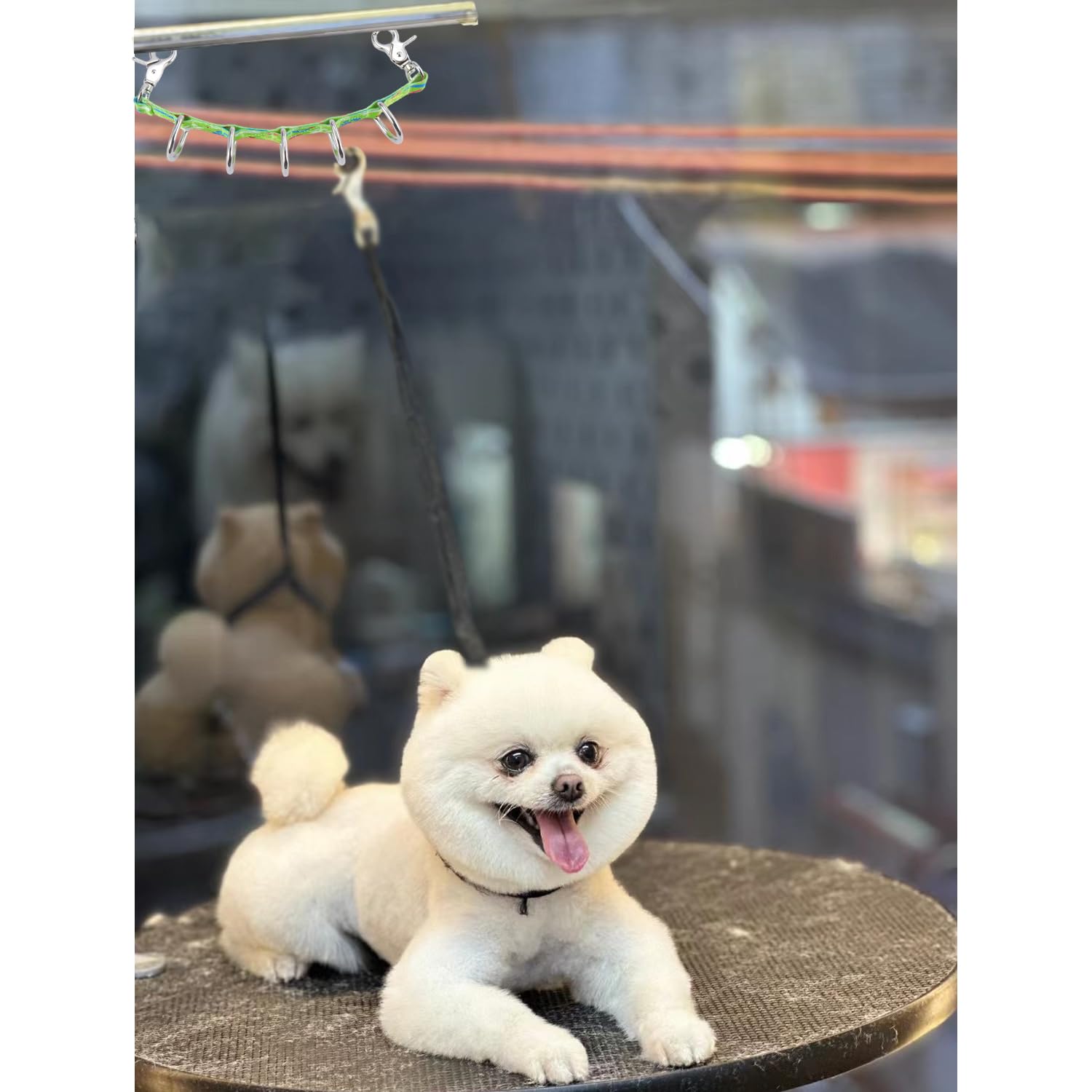 Fursdoly Dog Grooming Loops Table Supplies 2 Pack Cute Colorful Paw Pattern Restraint Loop Dogs Grooming Arm Extension Double Sn