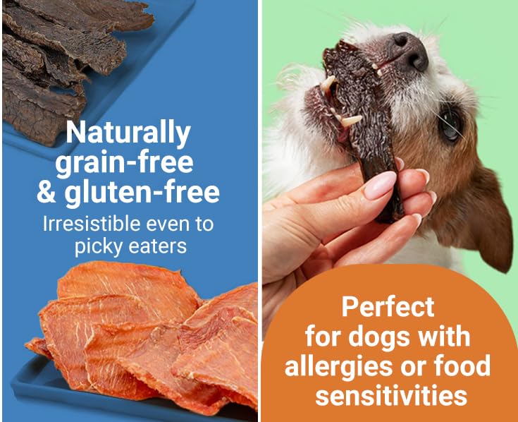 2 Dogs Treats Chicken Jerky - 100% USA-Sourced, Grain-Free, 7 oz, Single-Ingredient, Great for Sensitive Stomachs, High Value for Training