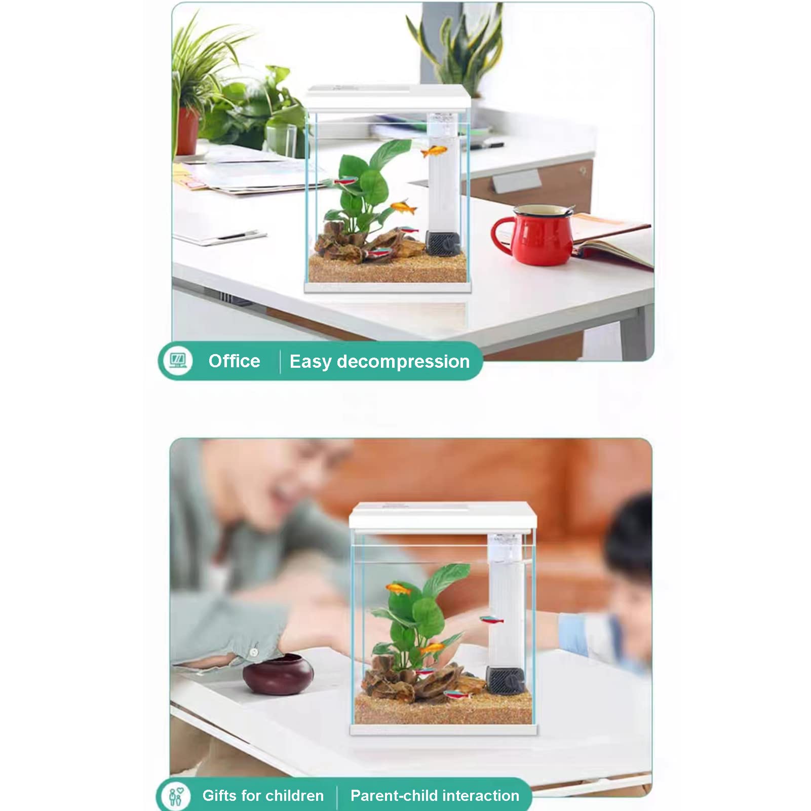 Pronetcus Betta Fish Tank, 2 Gallon Glass Aquarium Starter Kit, Small Fish Tank with Filter and Light.