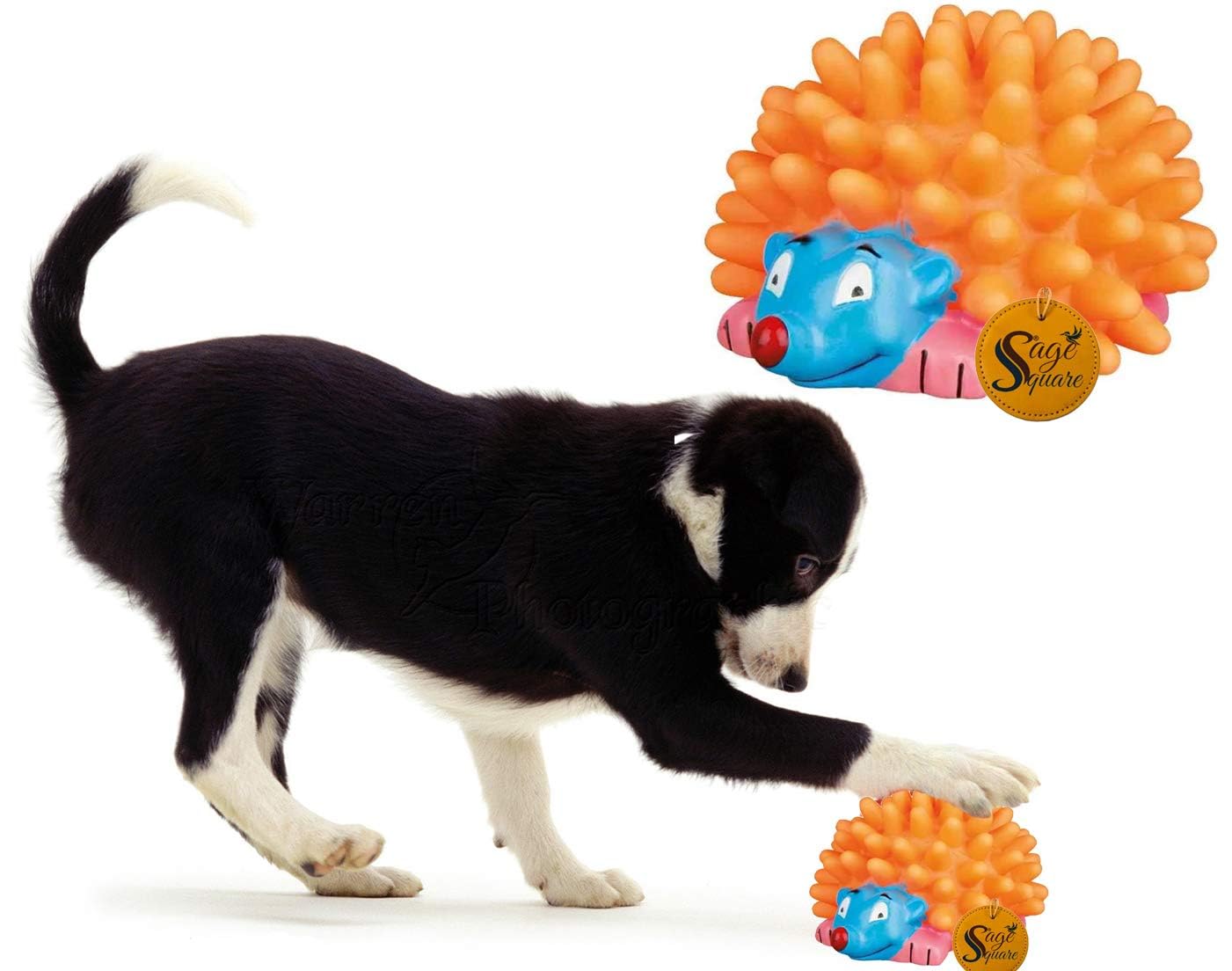 Sage Square Dog Playful Porcupine Squeaky Toy, For Playtime Of Cute Friend, Natural Rubber, Chew Toy, Squeaky Toy For Dog & Cat 