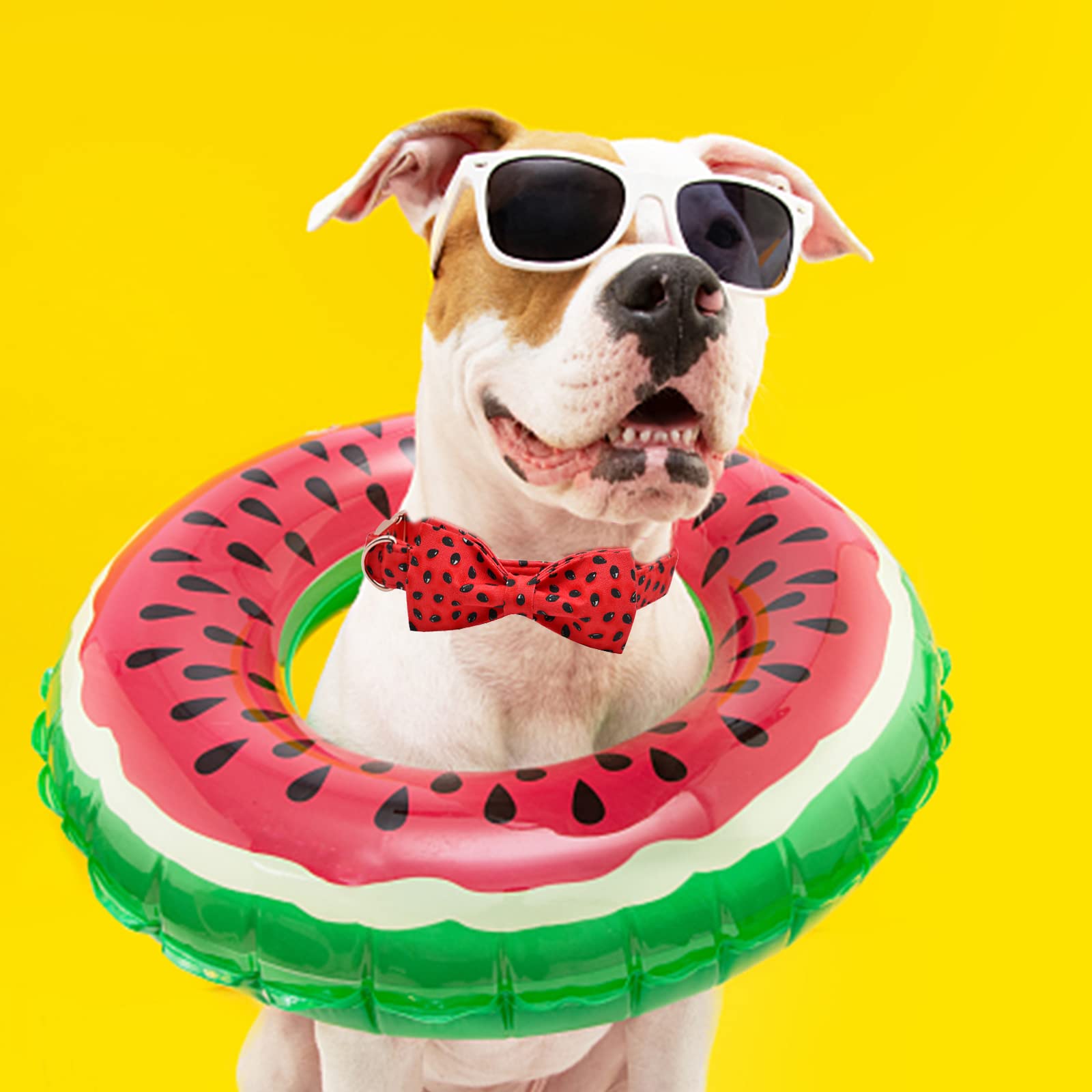 Lionheart Glory Dog Collar, Watermelon Dog Collar With Bow, Summer Dog Bowtie Collar Cute Pet Collar Gift For X-Large Dog