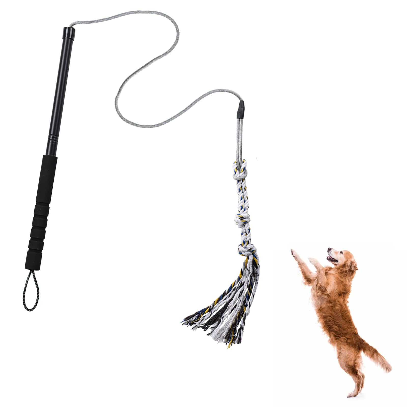 Pragmatist Outdoor Flirt Pole For Dog, Detachable Dog Flirt Pole Heavy Duty Sturdy Pet Toys For Outdoor Exercise & Training Dura