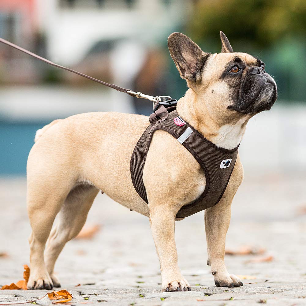 Curli Vest Harness Cord With Air-Mesh Lining Step-In Dog Harness Lightweight Breathable Dog Elegant Durable Harnesses For Small