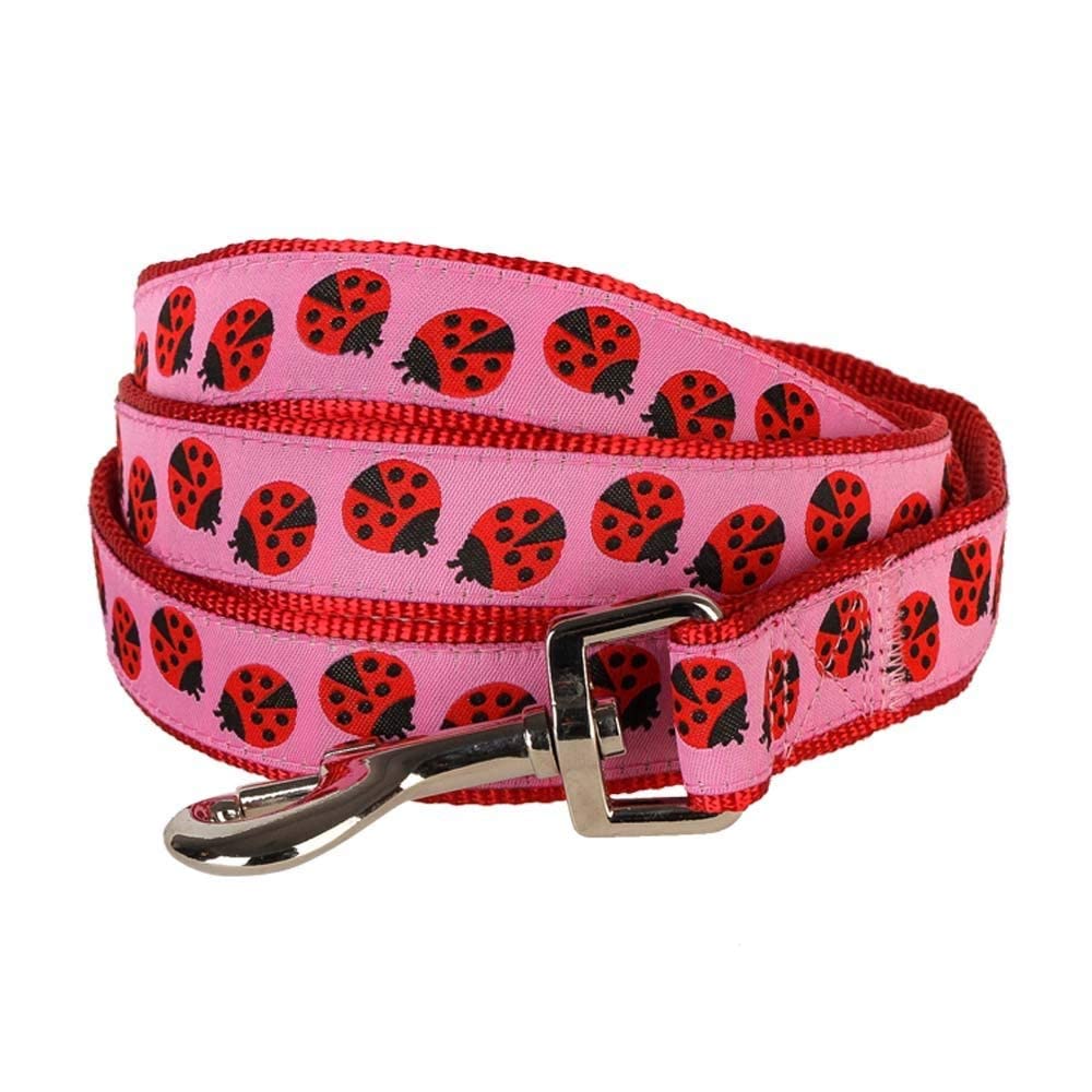 Blueberry Pet Essentials 2 Patterns Durable Pink Webbing Ladybug Designer Dog Leash 5 Ft X 5/8', Small, Basic Nylon Leashes For Dogs