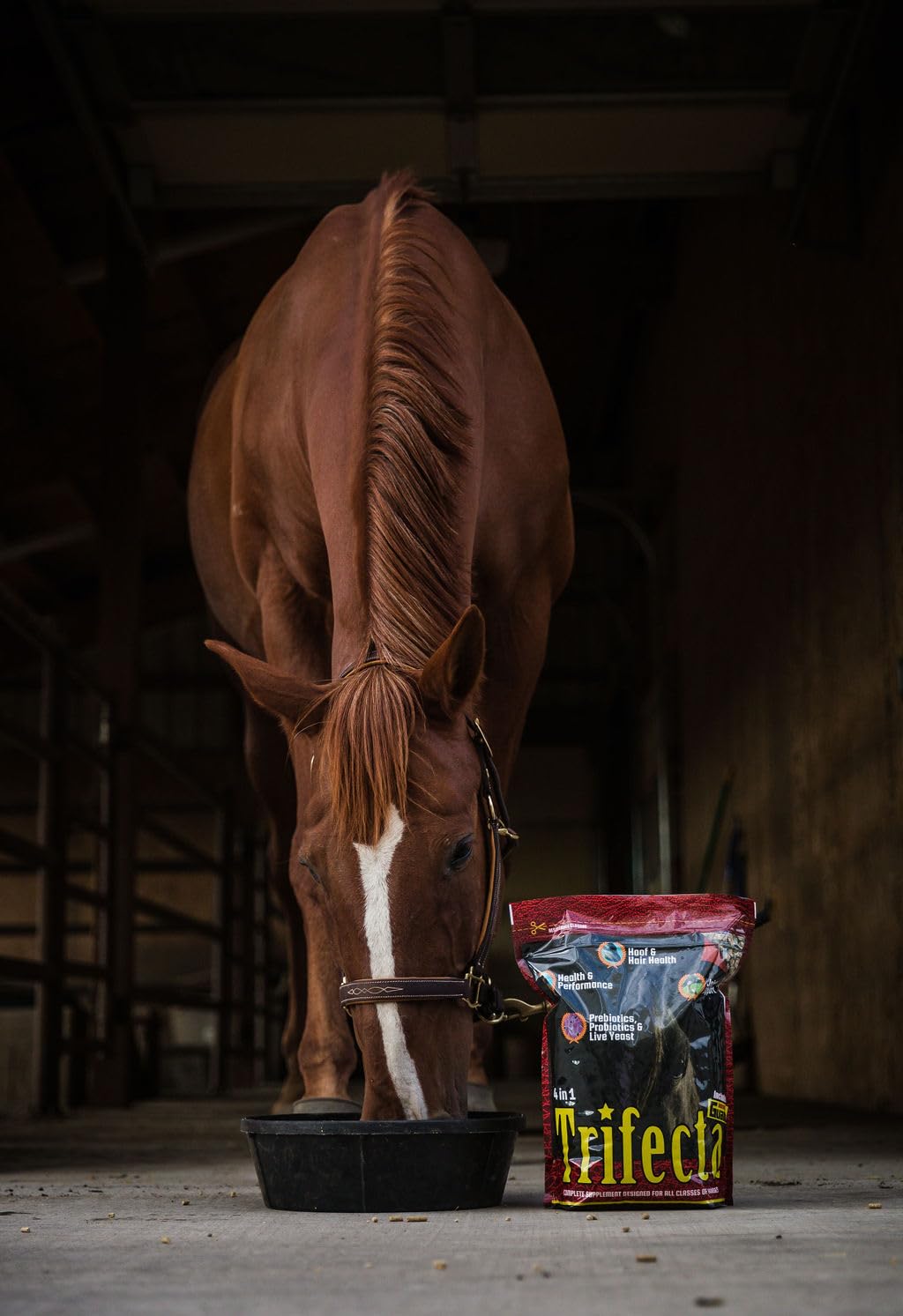 Horse Guard Trifecta 10 lb, 4 Equine Vitamin Minerals in 1 Complete Supplement