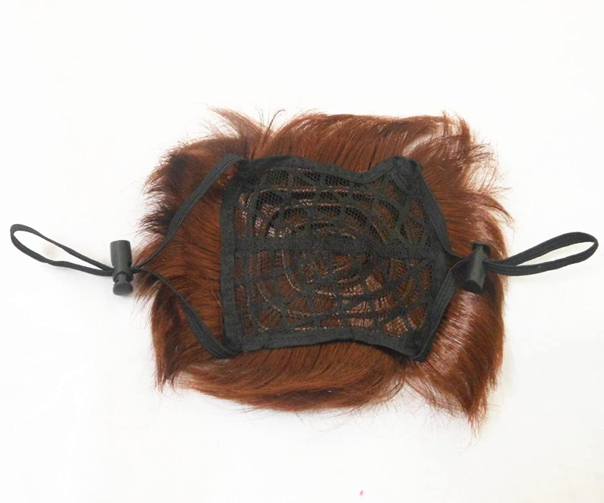 Dog Wig Pet Costumes, Cat Costume Synthetic Accessories Small Dog Headwear For Halloween Christmas Eve Festival Party Decor, Head Wear Apparel Toy (B)