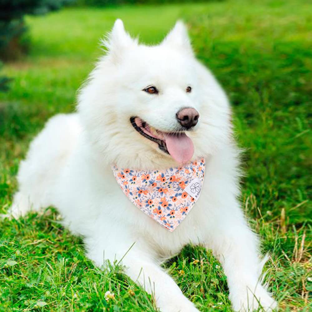 Dog Bandanas & Matching Scrunchie Set Flower Dog Scarf Bibs Girl Pet Bandana With Bow Tie For Medium Large Dogs Owner Mom Gift